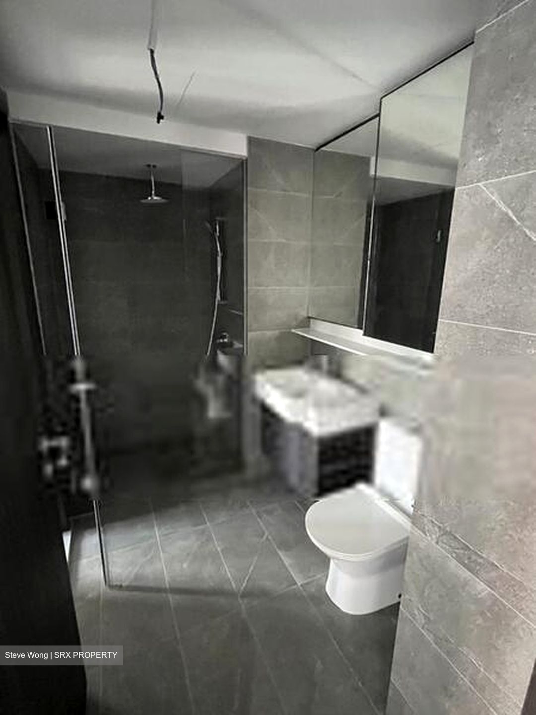 Riverfront Residences (D19), Apartment #406313881